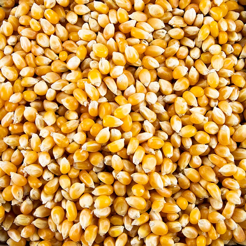 Popcorn di mais, biologico, 1 kg