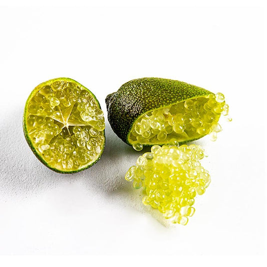 Finger - Limes / Caviale di lime, fresco, 1 kg Prodotti a base di frutta, puree, verdure e germogli | thungourmet