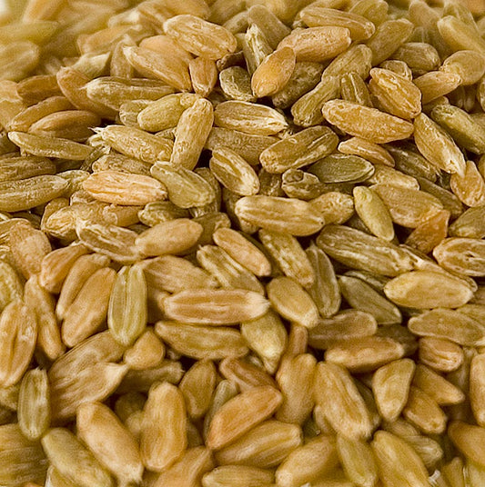 Épeautre vert, entier, durci au bois, 1 kg