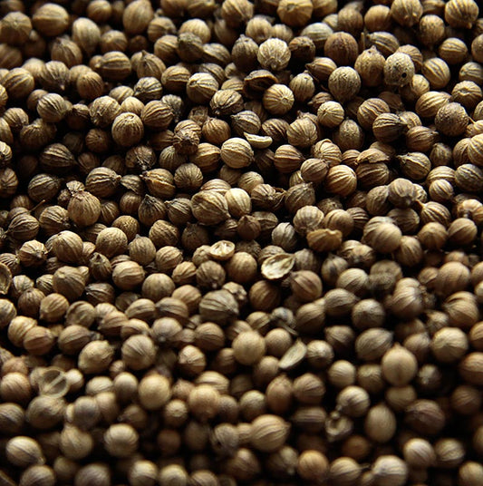 Semi di coriandolo, interi, 1 kg
