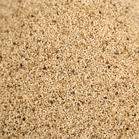 Semi di papavero bianco, interi, BIO, 1 kg