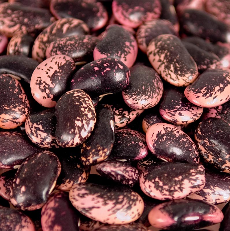 Bohnen, Käferbohnen, gross, rot-schwarz-violett, getrocknet, Österreich, 1 kg