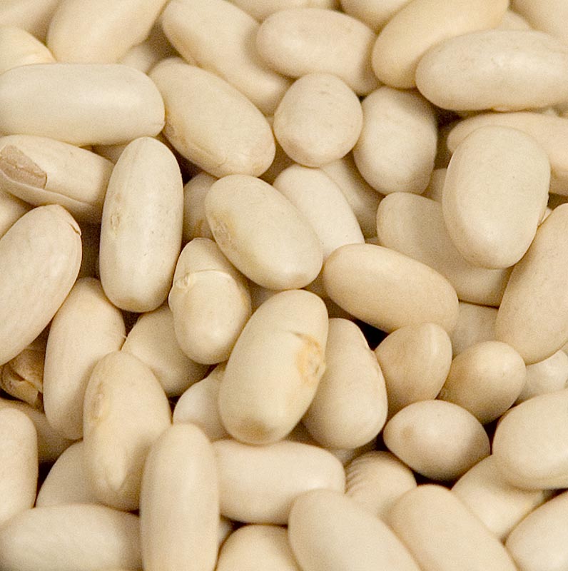 Fagioli, Lingots blanc, fagioli bianchi, di media grandezza, secchi, 5 kg