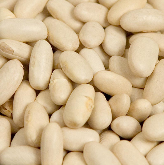 Fagioli, Lingots blanc, fagioli bianchi, di media grandezza, secchi, 5 kg
