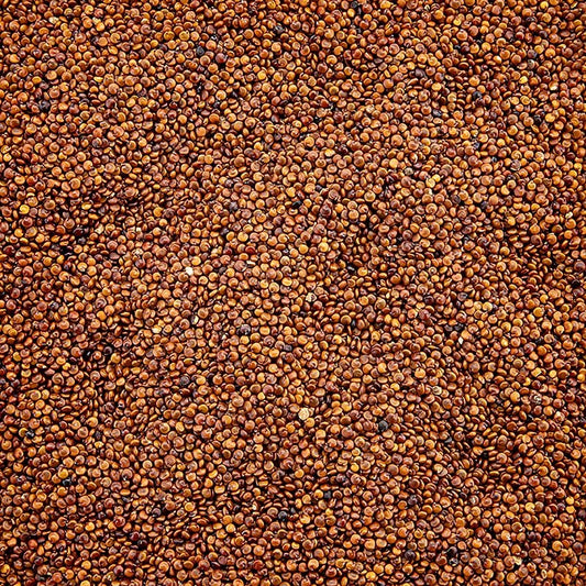 Quinoa, intera, rossa, il cereale miracoloso degli Incas, BIO, 1 kg | Riso, Legumi, frutta secca, castagne | thungourmet