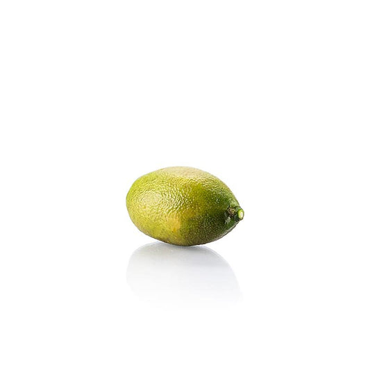 Finger - Limes / Caviale di lime, fresco, 1 kg  Prodotti a base di frutta, puree, verdure e germogli | thungourmet