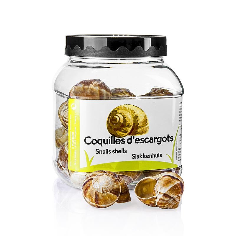 Schneckenhäuser Nr.6 (groß), zum Füllen oder zur Deko, 24 St | Eingelegtes, Eingemachtes, Antipasti | thungourmet