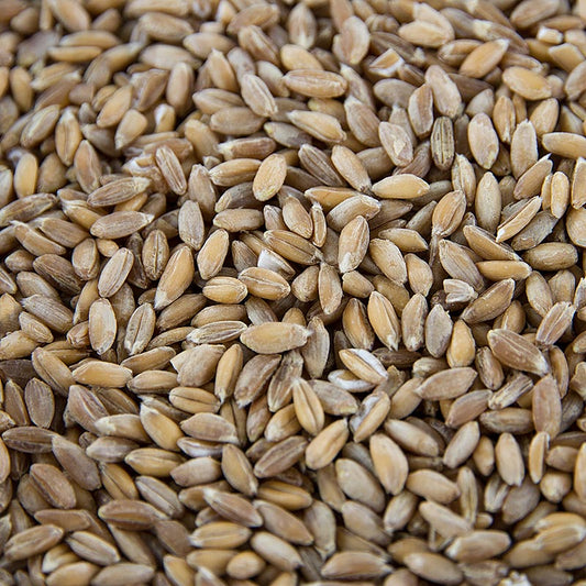 Frumento di farro (a due grani), intero, biologico, 1 kg