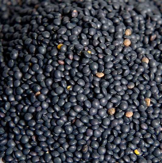 Lenticchie, nere - Beluga, 1 kg