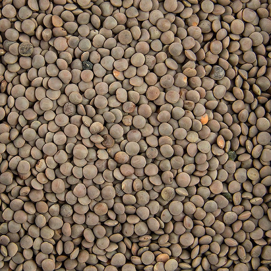 Lentilles brunes, petites, 1 kg