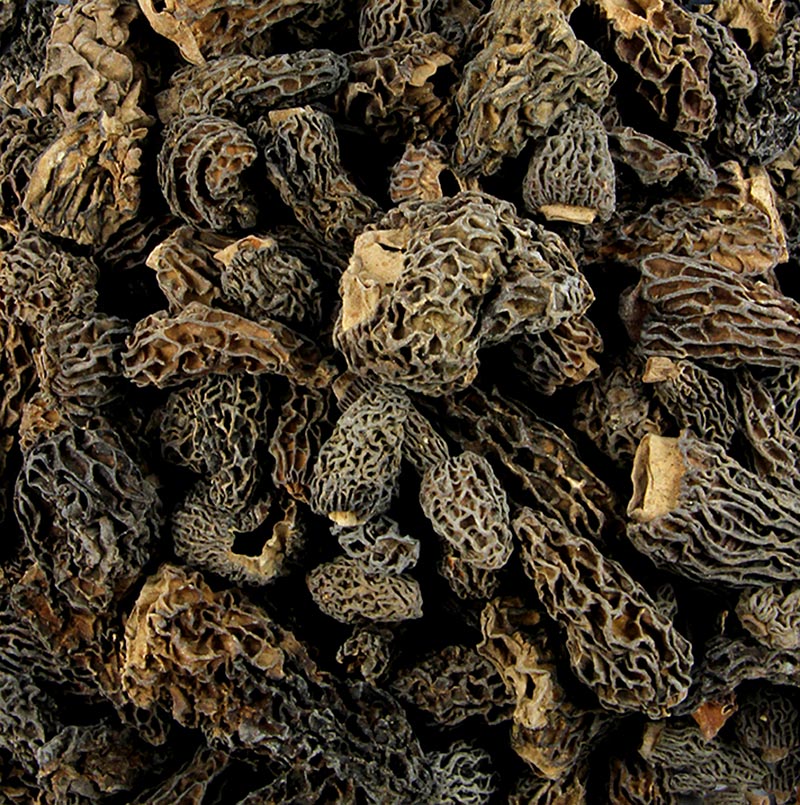 Plantin - Teste di spugnole, Medium Specials, essiccate, 500 g