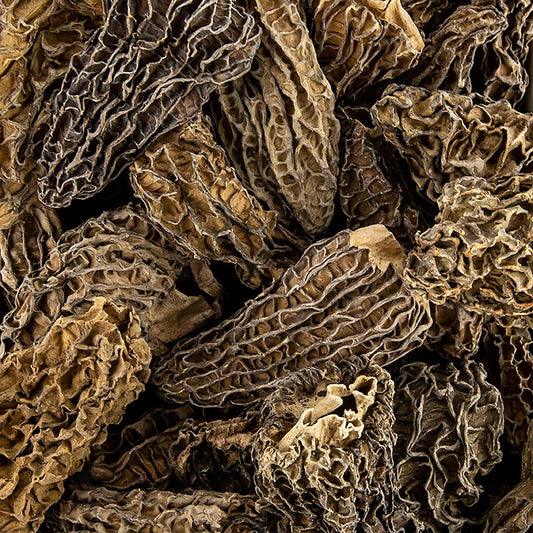 Spitzmorchel-Köpfe, Jumbo, getrocknet, Borde, 800 g