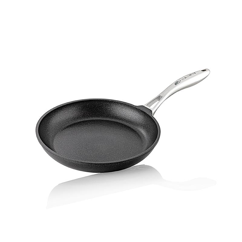 MAMMUT poêle, poignée en acier inoxydable, Ø 24 cm, 5cm h, AMT fonte de gateau, 1 pc