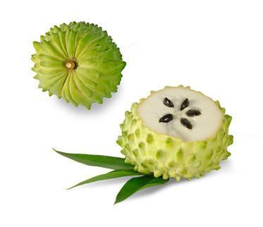 6kg Graviola 100% Fruchtpüree pur, tiefgefroren (60x100g Portionen) | Früchte, Frucht - Pürees, Frucht - Produkte | thungourmet