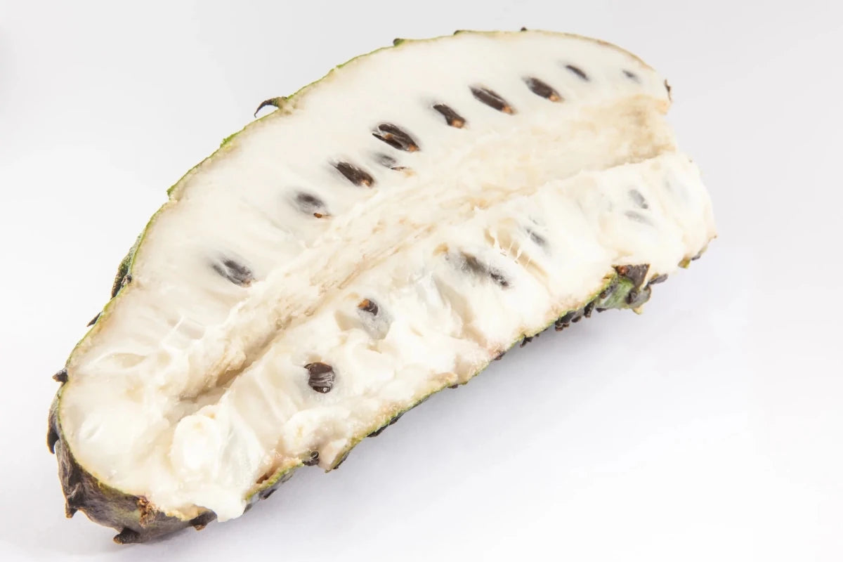 6kg Graviola 100% Fruchtpüree pur, tiefgefroren (60x100g Portionen) | Früchte, Frucht - Pürees, Frucht - Produkte | thungourmet